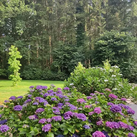 Am Waldrand In * Aurich (Ostfriesland)